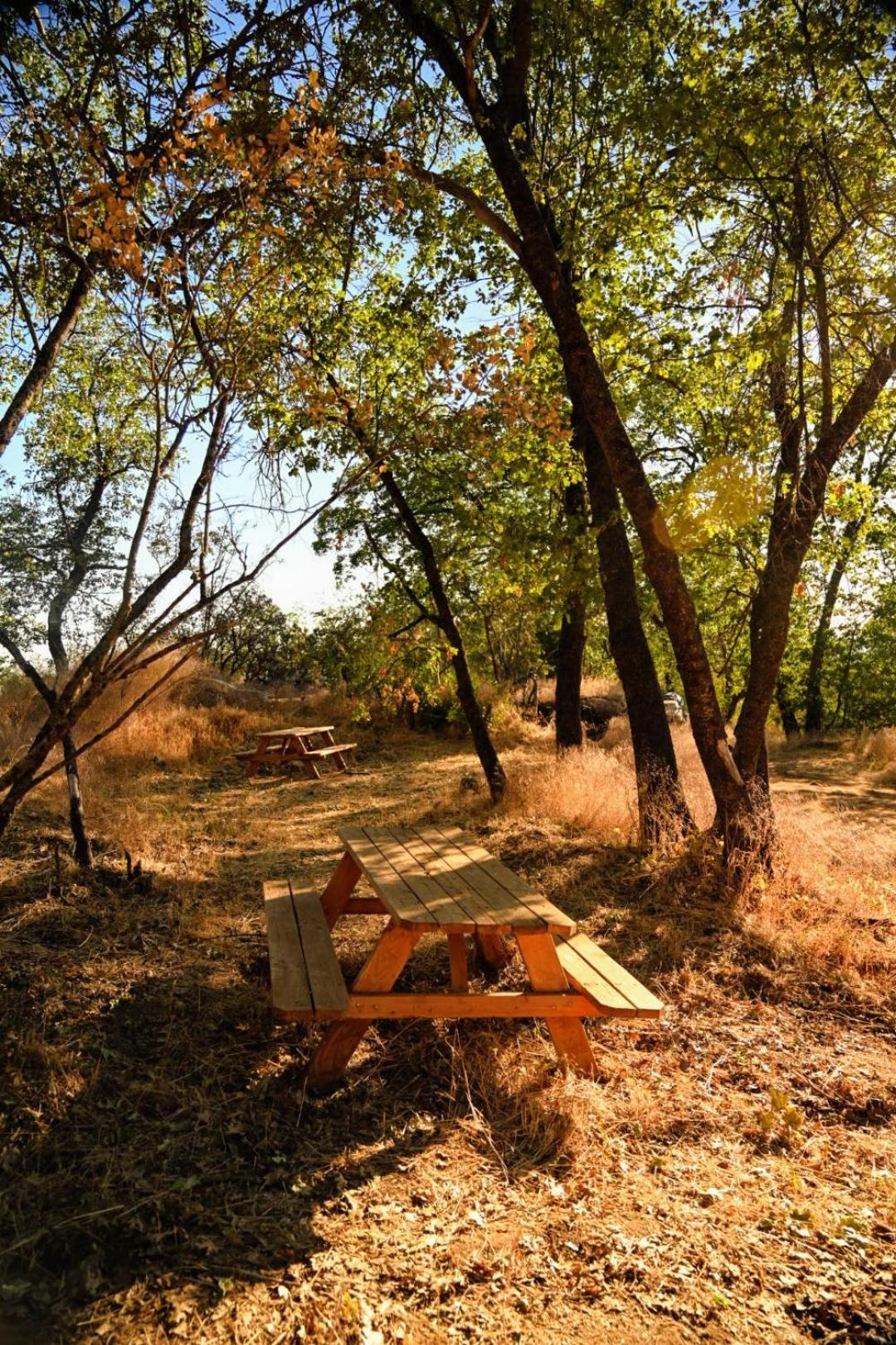 Campground At Sequoia Mountain Farms - Bring Your Own Tent Or Rv - No Bedrooms Or Beds Provided Miramonte Экстерьер фото